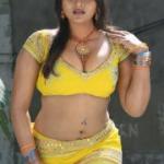 Desi_Galpaa