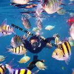 wijayatamatourpulauseribu
