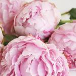 thepeonyavenue