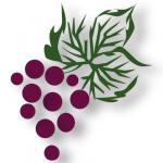 SicilianWineTour