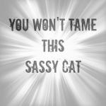 SassyCat3000