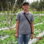 Redy_Medan