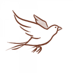 freedom35blog