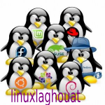 linux