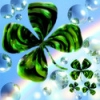 morningstarr2012