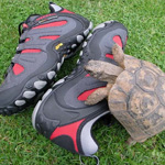 FitnessFootwear